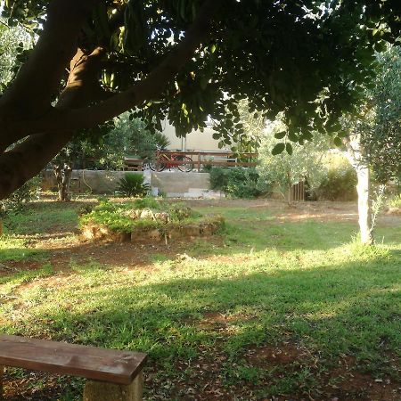 Apartamento Aquilone Castelluzzo Exterior foto
